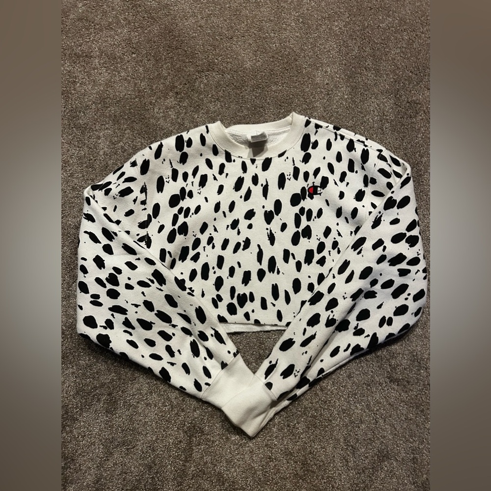 Spotted cropped champion sweatshirt.